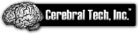 CerebralTech.com, web design, web hosting, technology systems integrator, information technology, programming, E-Commerce